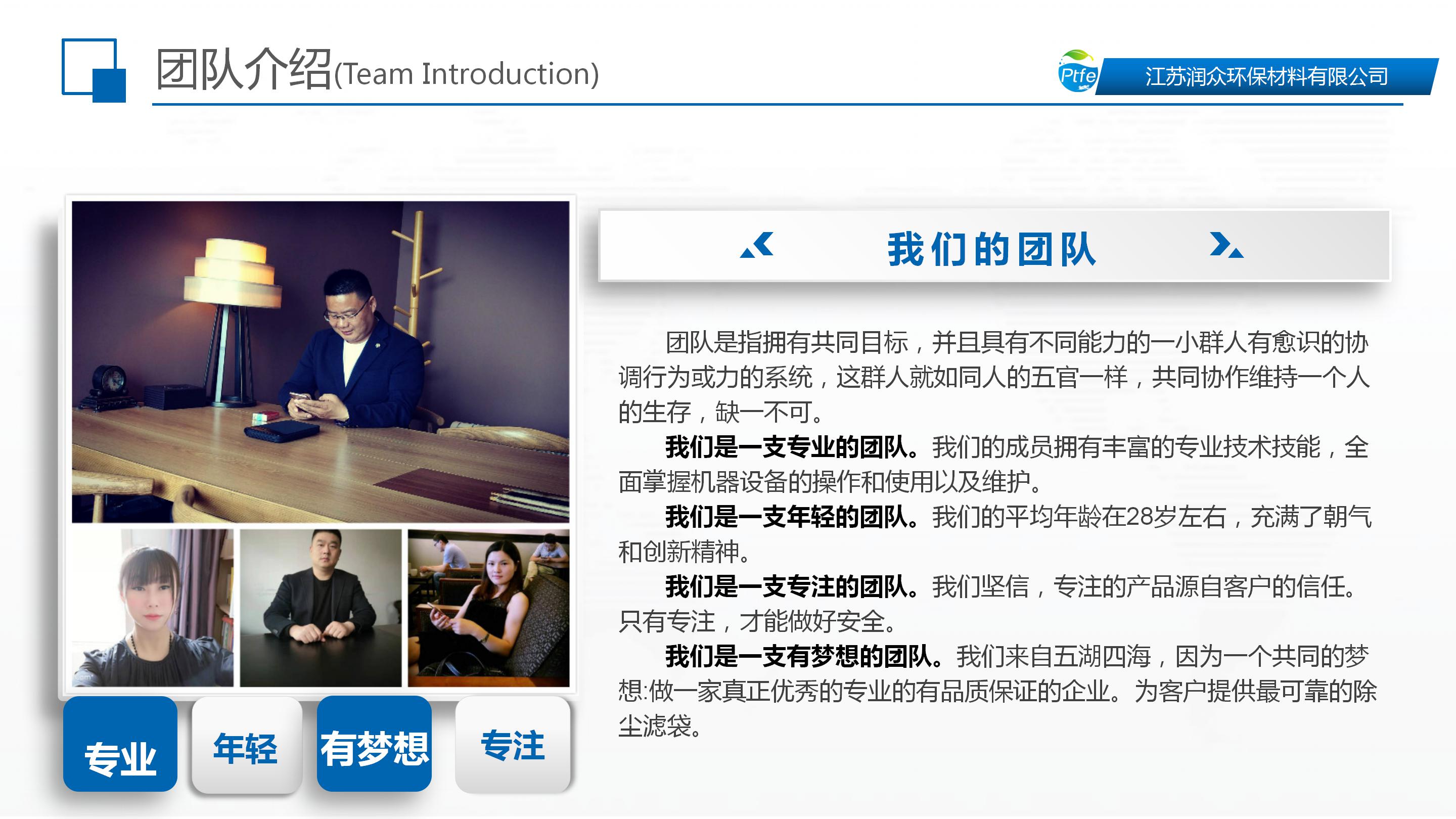 PTFE针刺毡